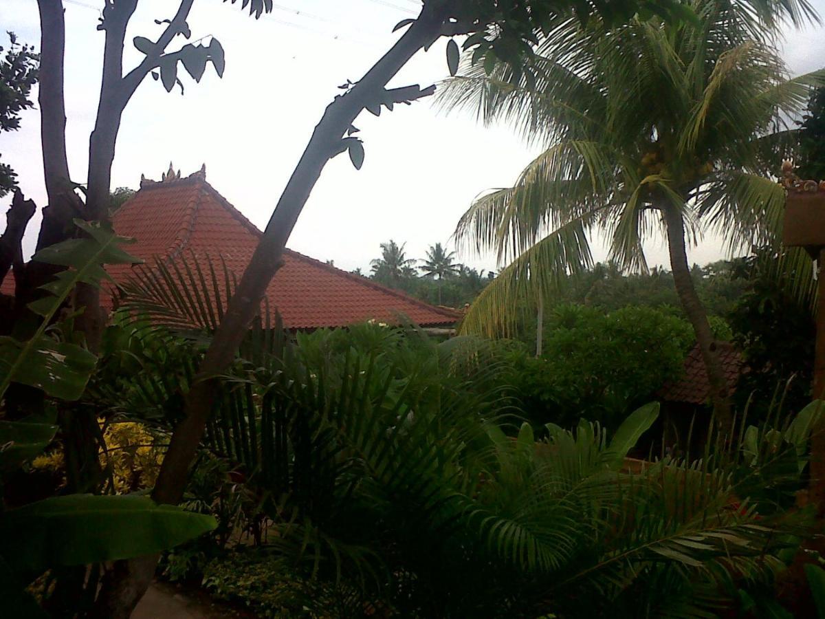 Eliska Sari Bungalows Sumberkima Pemuteran Exterior foto