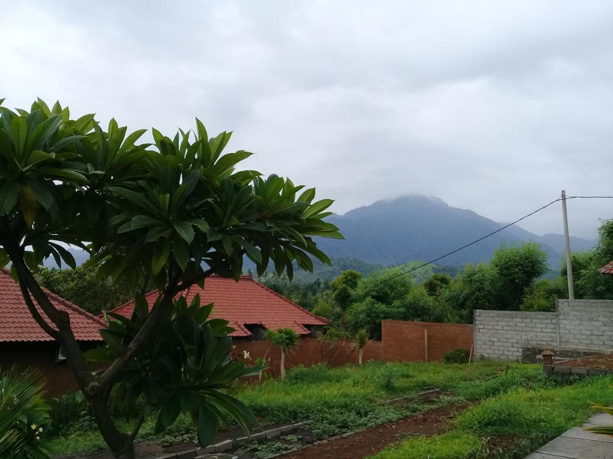Eliska Sari Bungalows Sumberkima Pemuteran Exterior foto
